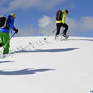 TSL Schneeschuh Symbioz Access, Celestial, 30-80 kg, hochwertige Ausrüstung für den Schneeschuhfahrer mit ausgezeichneter Qualität und Leistung
